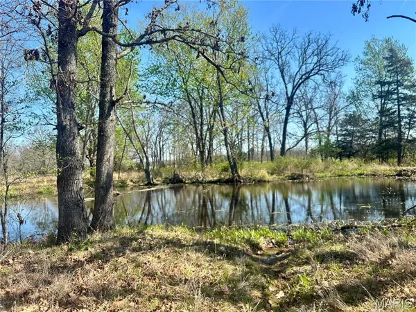 $456,500 | 30422 Private Dr 6245, Edgar Springs, MO 65462