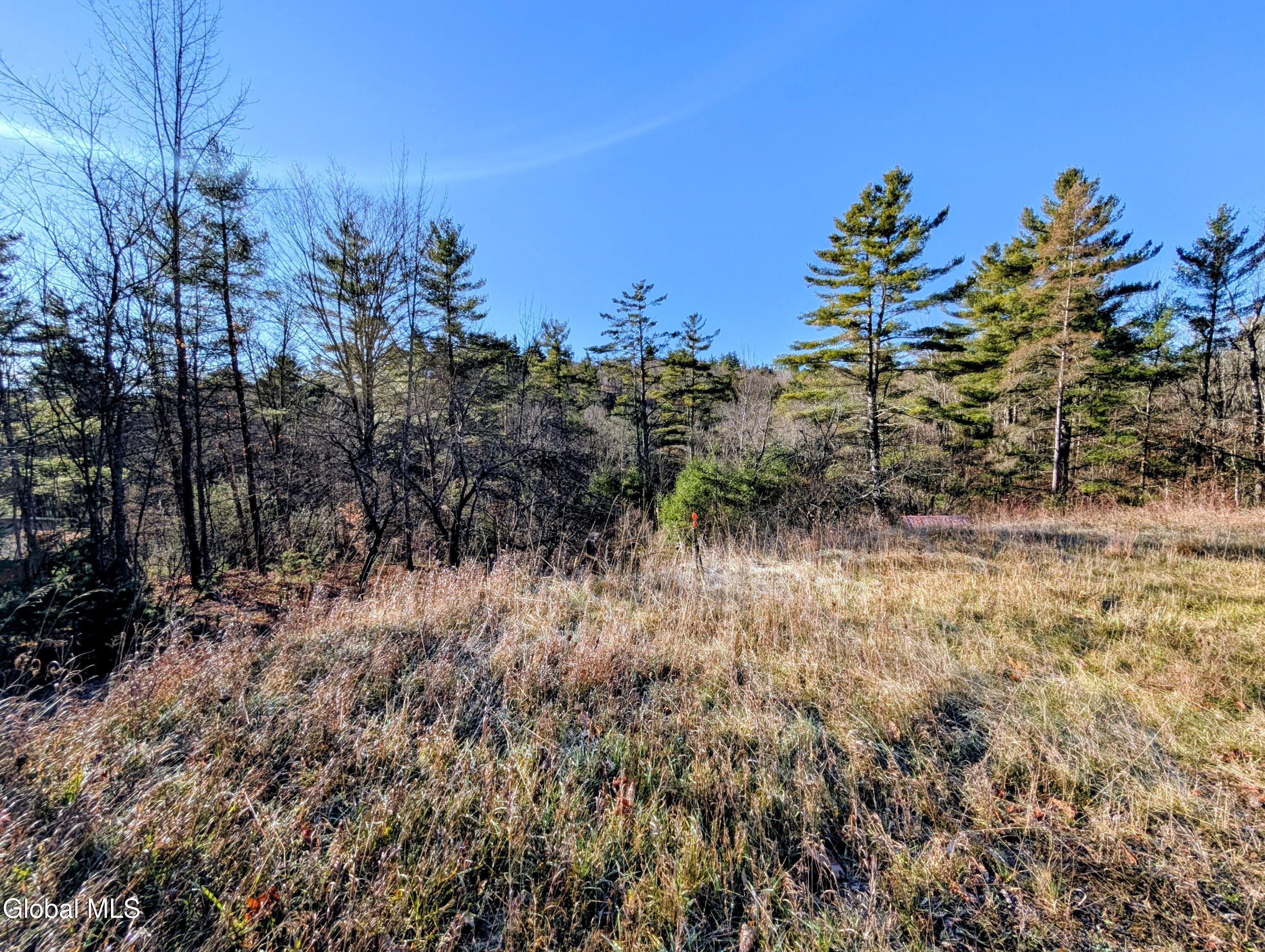 329 West Hague Road Hague, NY 12836 - Photo 2 of 10 2