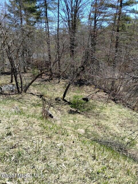 329 West Hague Road Hague, NY 12836 - Photo 6 of 10 6