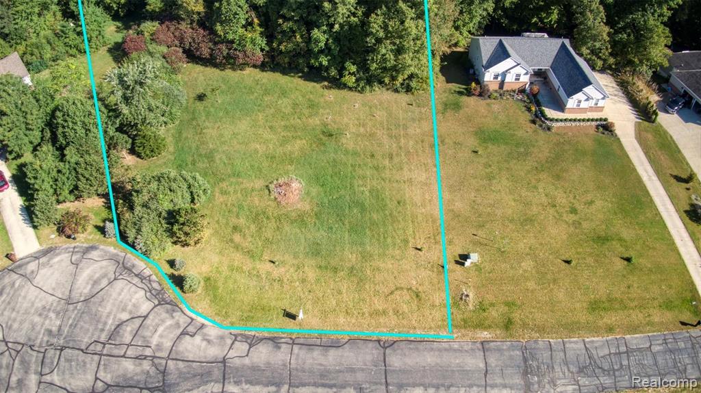 21760 Raspberry Ridge Pinckney, MI 48169 - Photo 3 of 18