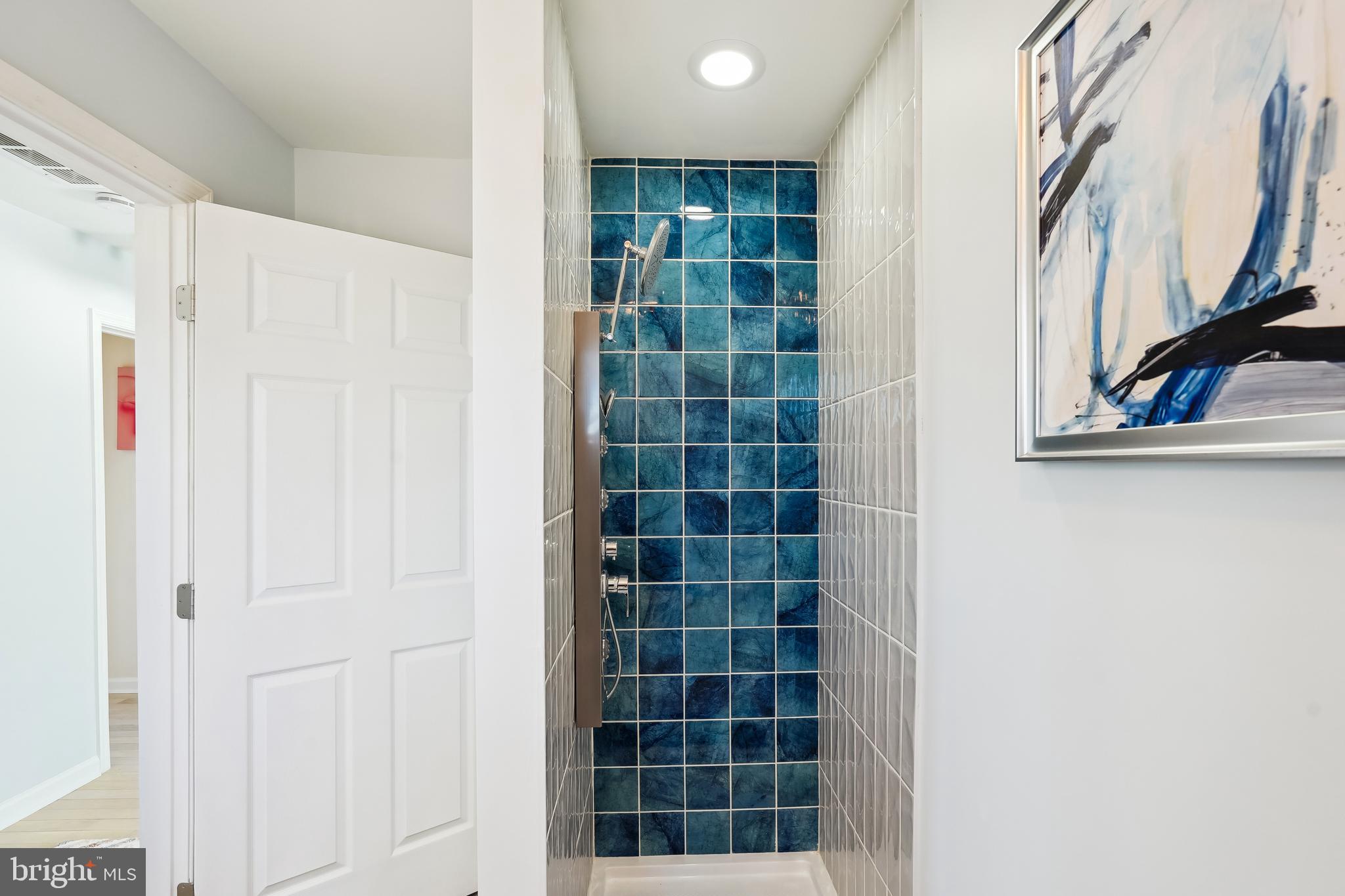 2528 Elvans Road Southeast Washington, DC 20020 - Photo 17 of 31 Shower stall for hall bath
