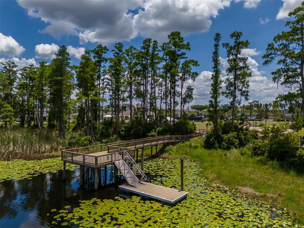 1686 Cherry Walk Road Lutz, FL 33558 - Photo 69 of 70