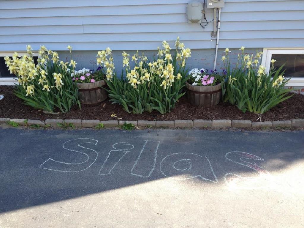 28 Berkeley Street Westbrook, ME 04092 - Photo 23 of 23 paved driveway with flowers waiting...