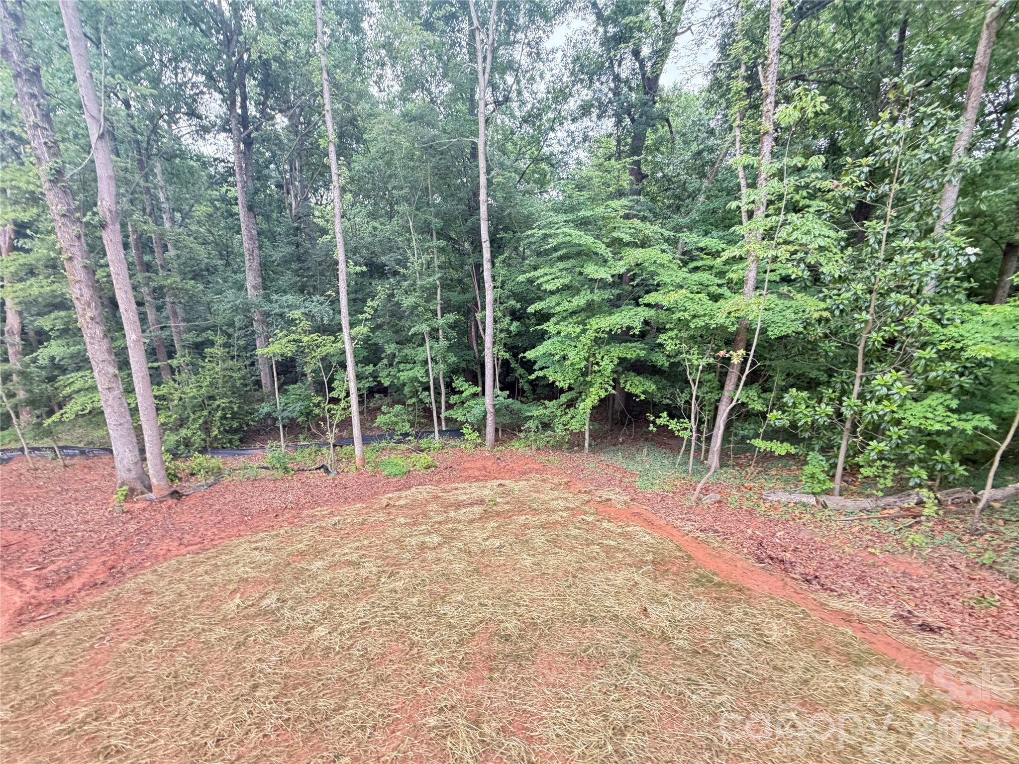 345 Rumple Street Troutman, NC 28166 - Photo 9 of 19