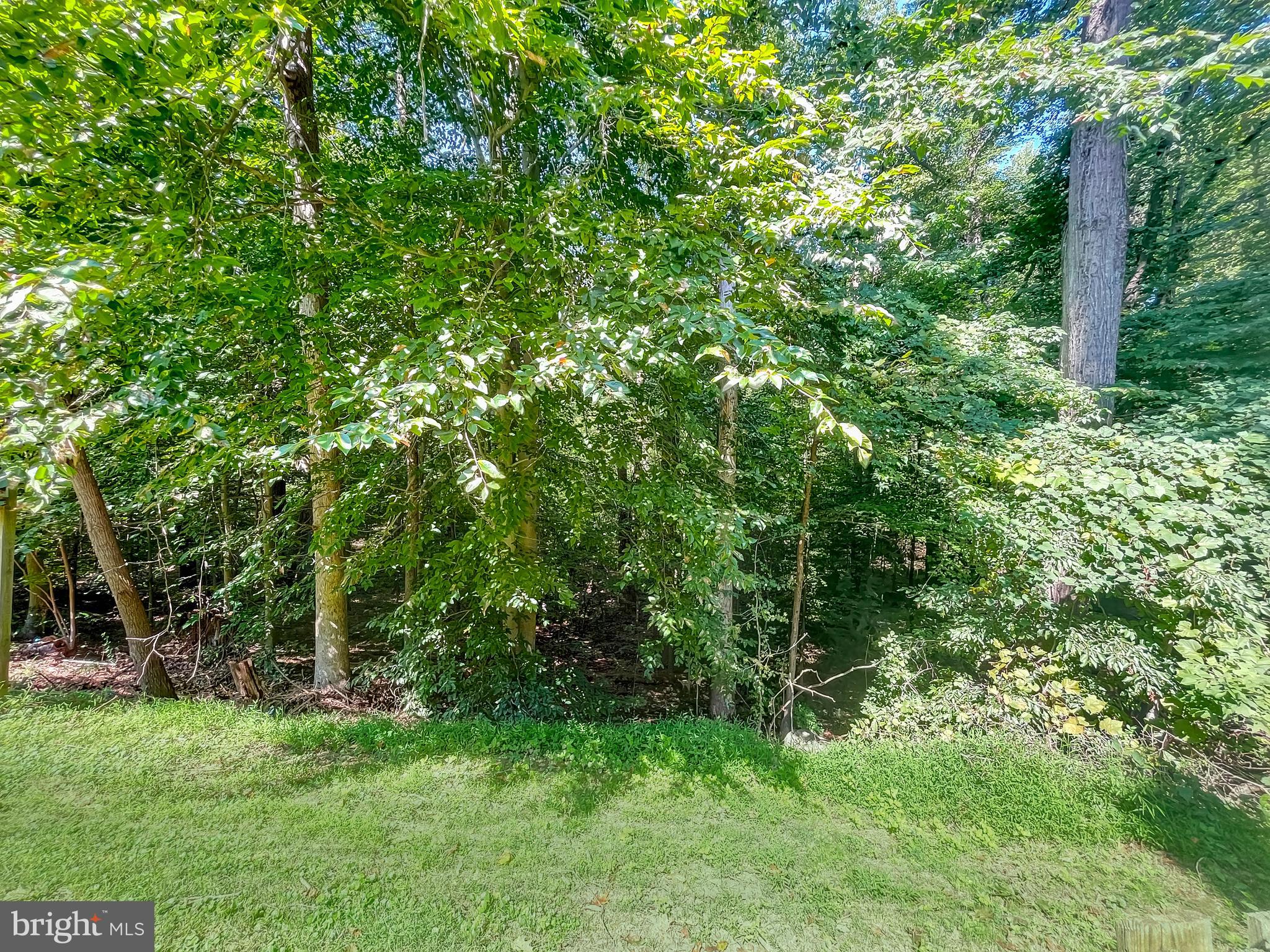 8802 Cameo Square Springfield, VA 22152 - Photo 38 of 50 Views from Deck