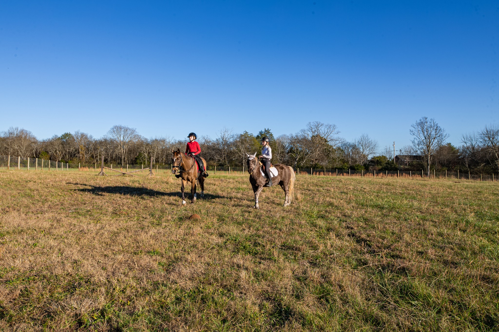 2071 Egypt Road Chapel Hill, TN 37034 - Photo 41 of 50