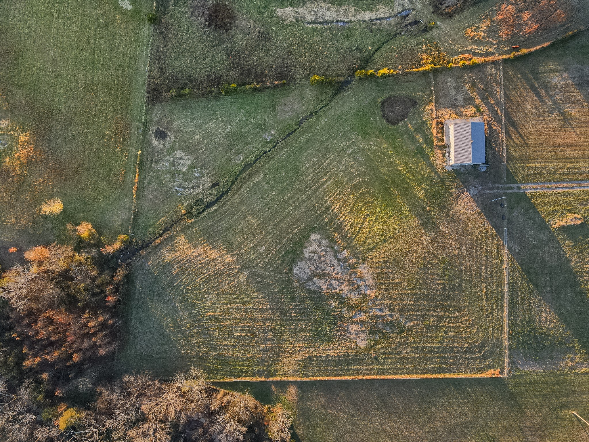 2071 Egypt Road Chapel Hill, TN 37034 - Photo 44 of 50