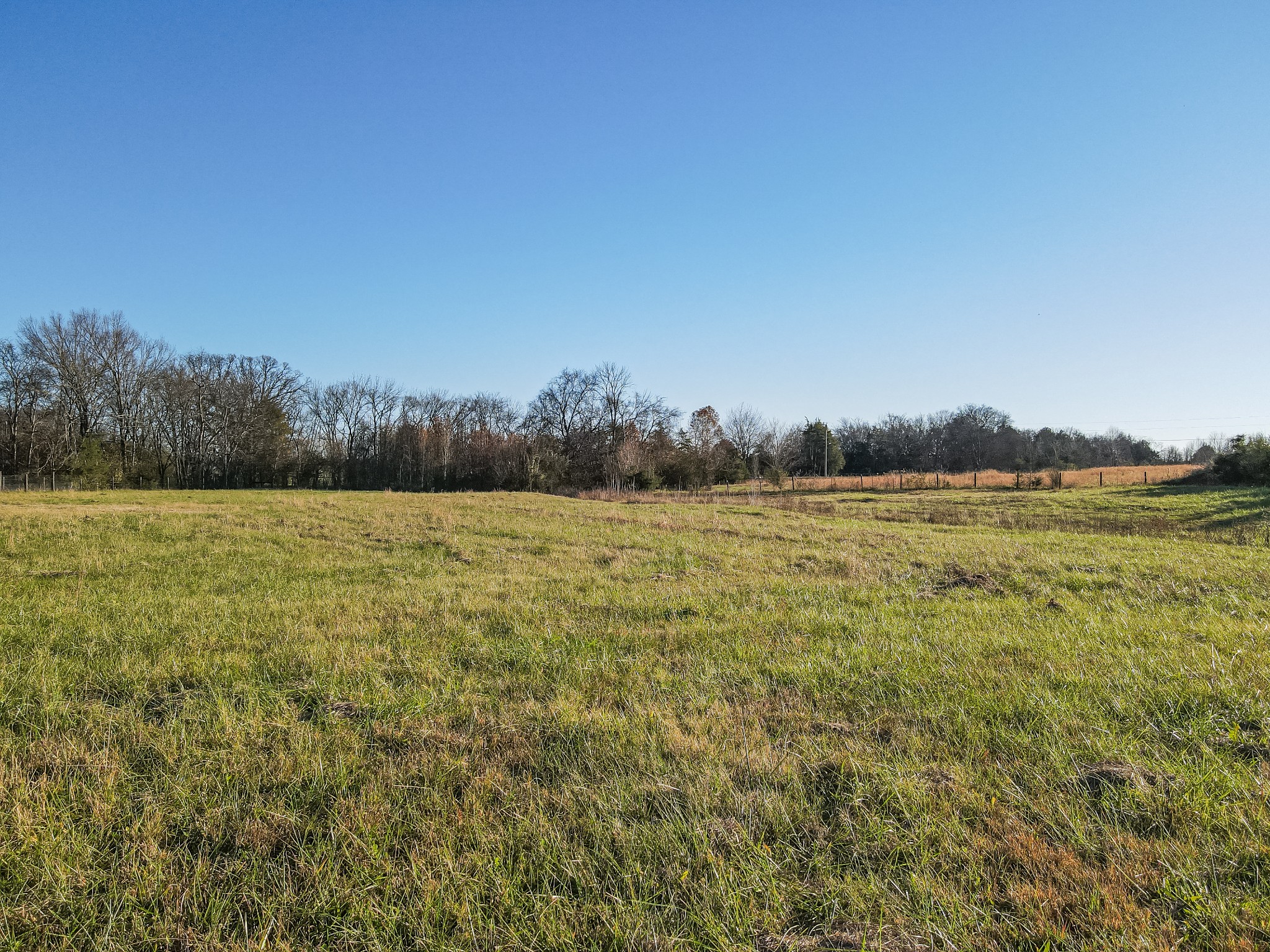 2071 Egypt Road Chapel Hill, TN 37034 - Photo 7 of 50