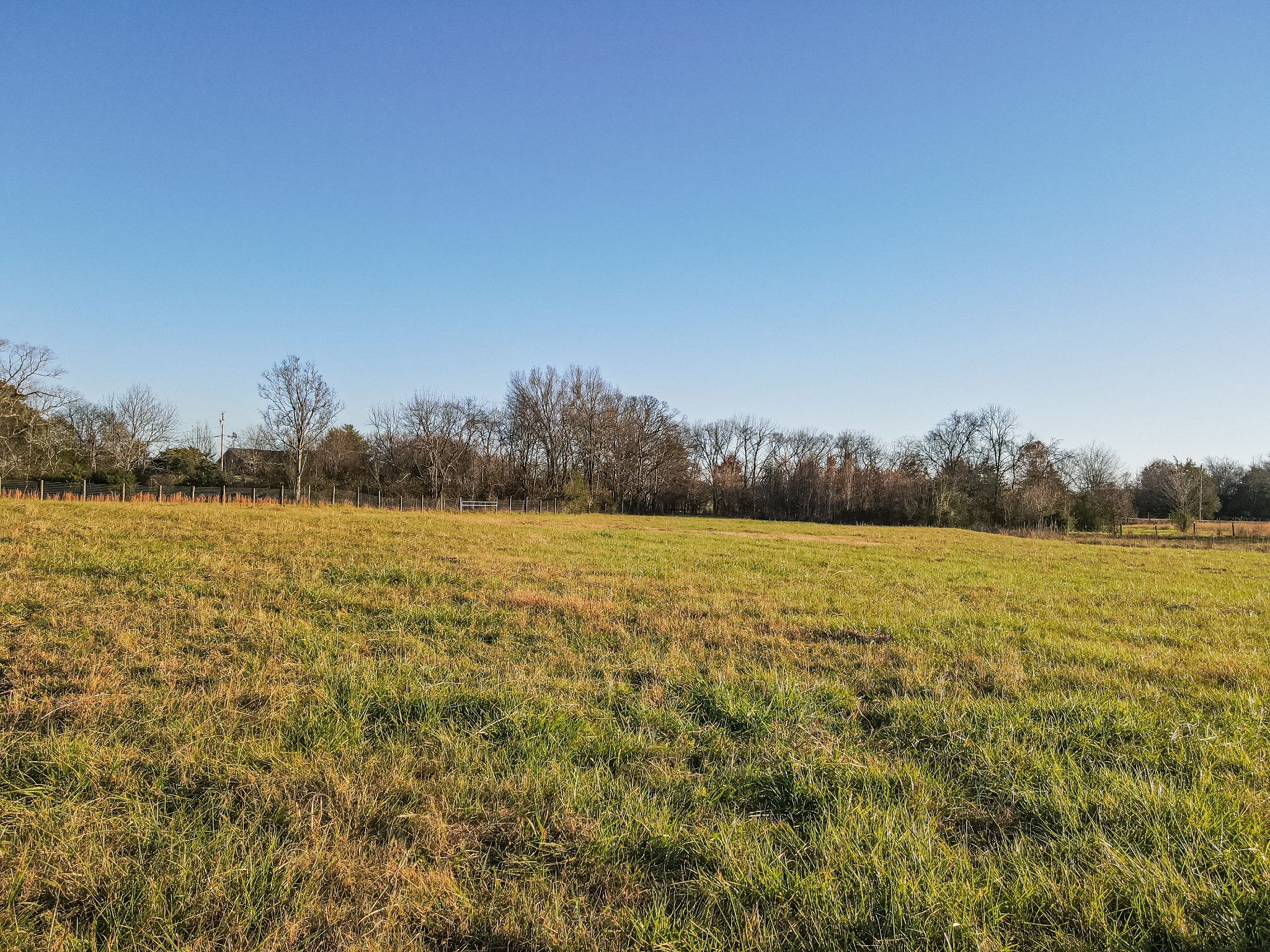 2071 Egypt Road Chapel Hill, TN 37034 - Photo 8 of 50