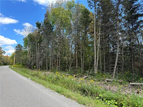 $44,900 | Lot 9 Mc Andrews Road, Andover, NY 14806