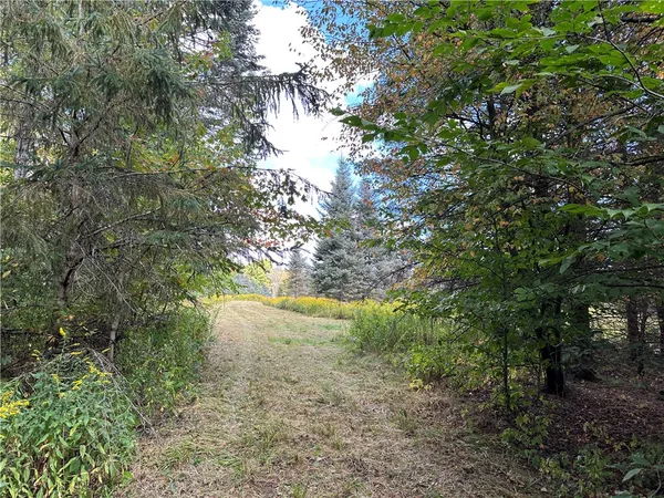 $44,900 | Lot 9 Mc Andrews Road, Andover, NY 14806