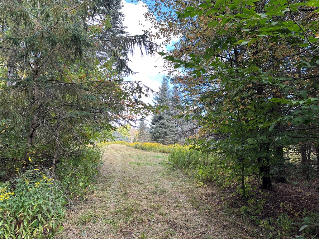 Lot 9 Mc Andrews Road Andover, NY 14806 - Photo 11 of 25