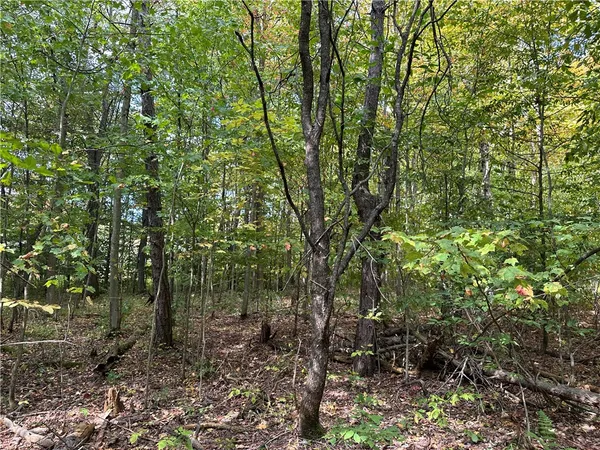 $44,900 | Lot 9 Mc Andrews Road, Andover, NY 14806