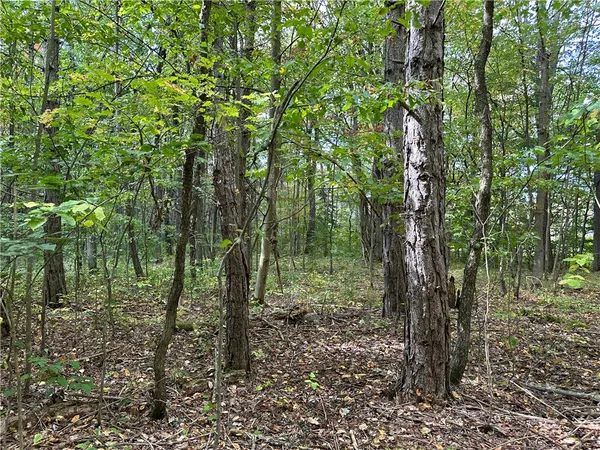 $44,900 | Lot 9 Mc Andrews Road, Andover, NY 14806