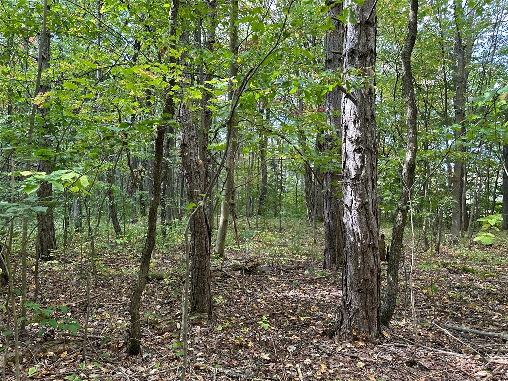 Lot 9 Mc Andrews Road Andover, NY 14806 - Photo 13 of 25