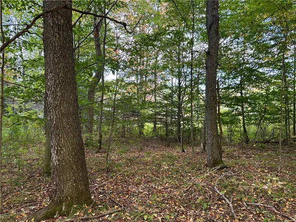 $44,900 | Lot 9 Mc Andrews Road, Andover, NY 14806