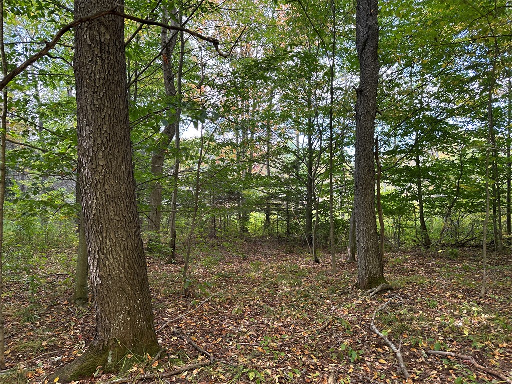 Lot 9 Mc Andrews Road Andover, NY 14806 - Photo 14 of 25