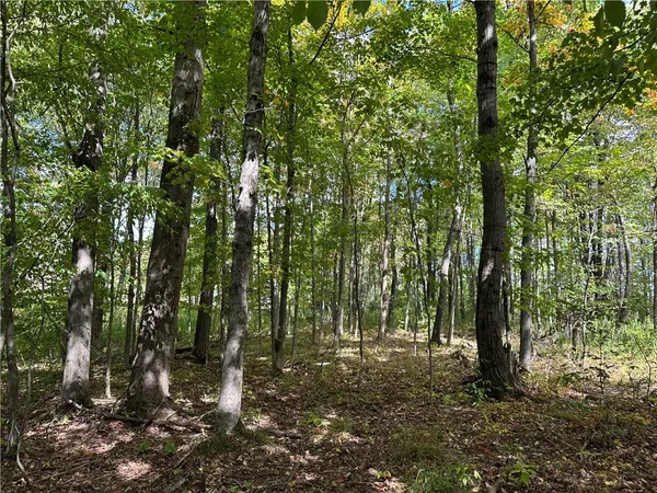 $44,900 | Lot 9 Mc Andrews Road, Andover, NY 14806