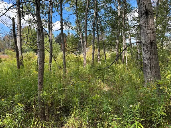 $44,900 | Lot 9 Mc Andrews Road, Andover, NY 14806