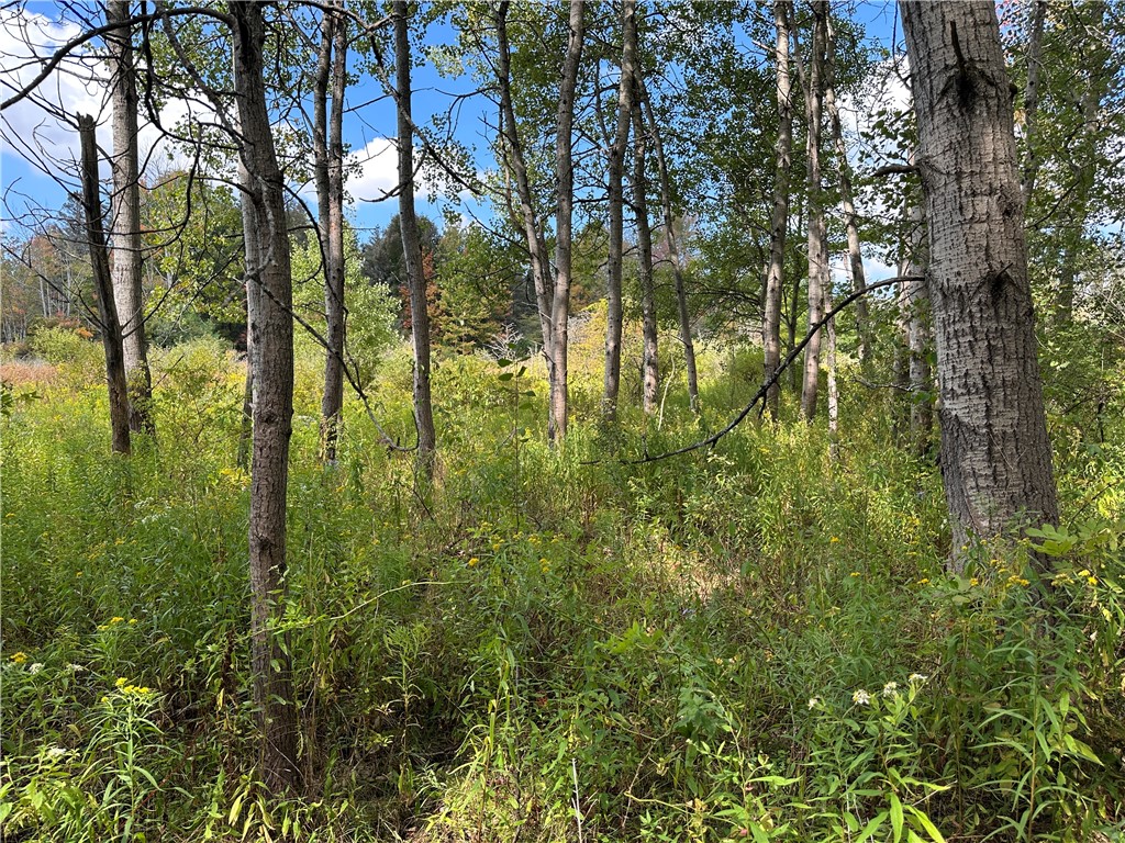 Lot 9 Mc Andrews Road Andover, NY 14806 - Photo 16 of 25