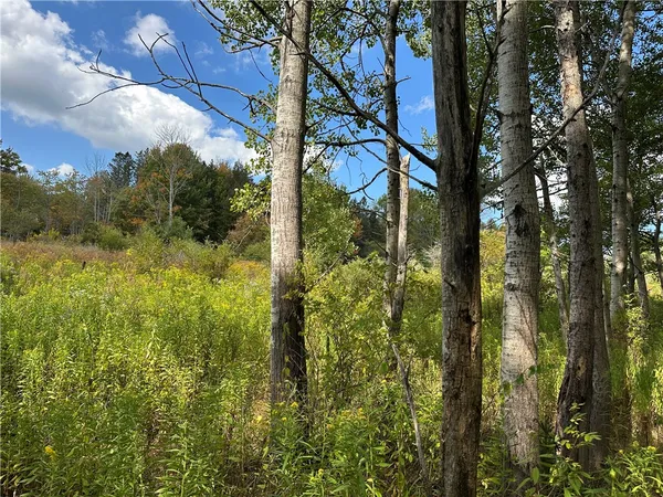 $44,900 | Lot 9 Mc Andrews Road, Andover, NY 14806