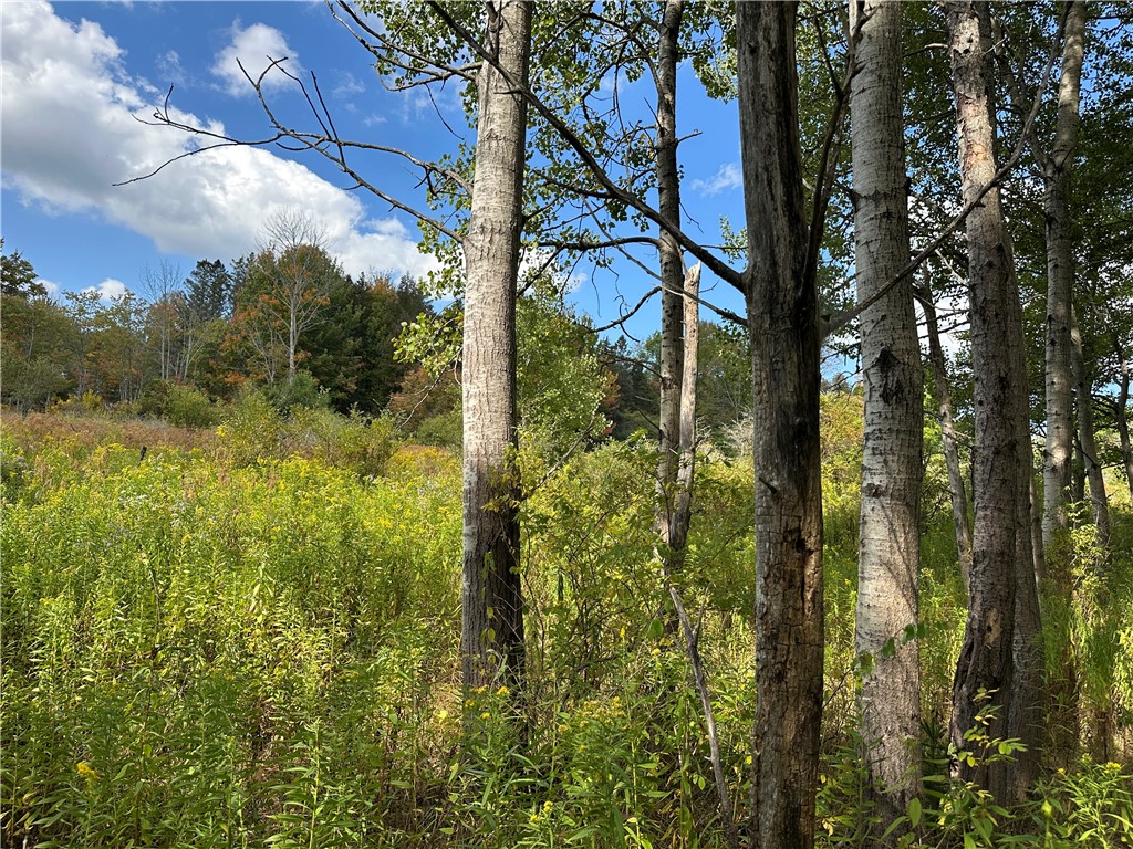 Lot 9 Mc Andrews Road Andover, NY 14806 - Photo 17 of 25