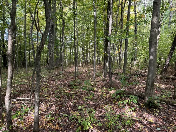 $44,900 | Lot 9 Mc Andrews Road, Andover, NY 14806