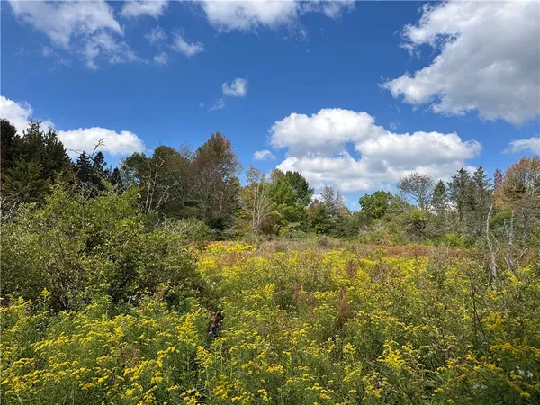 $44,900 | Lot 9 Mc Andrews Road, Andover, NY 14806