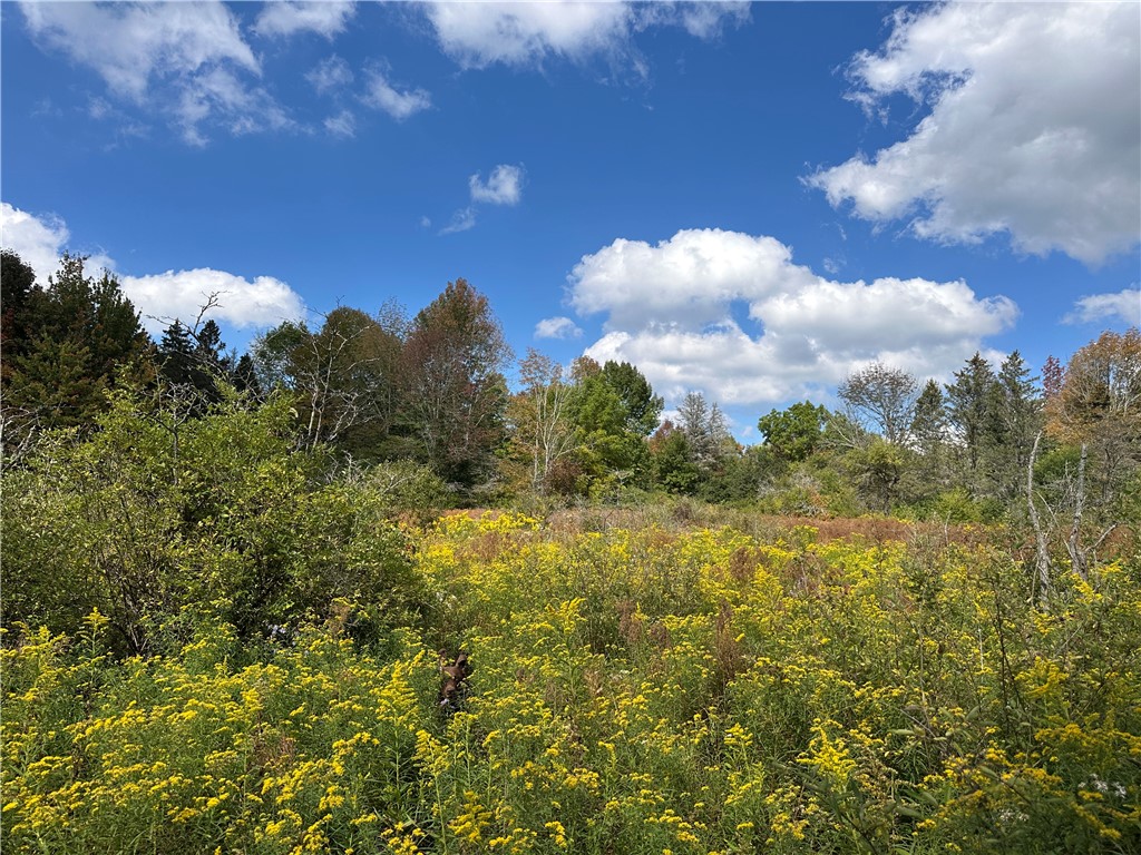 Lot 9 Mc Andrews Road Andover, NY 14806 - Photo 19 of 25