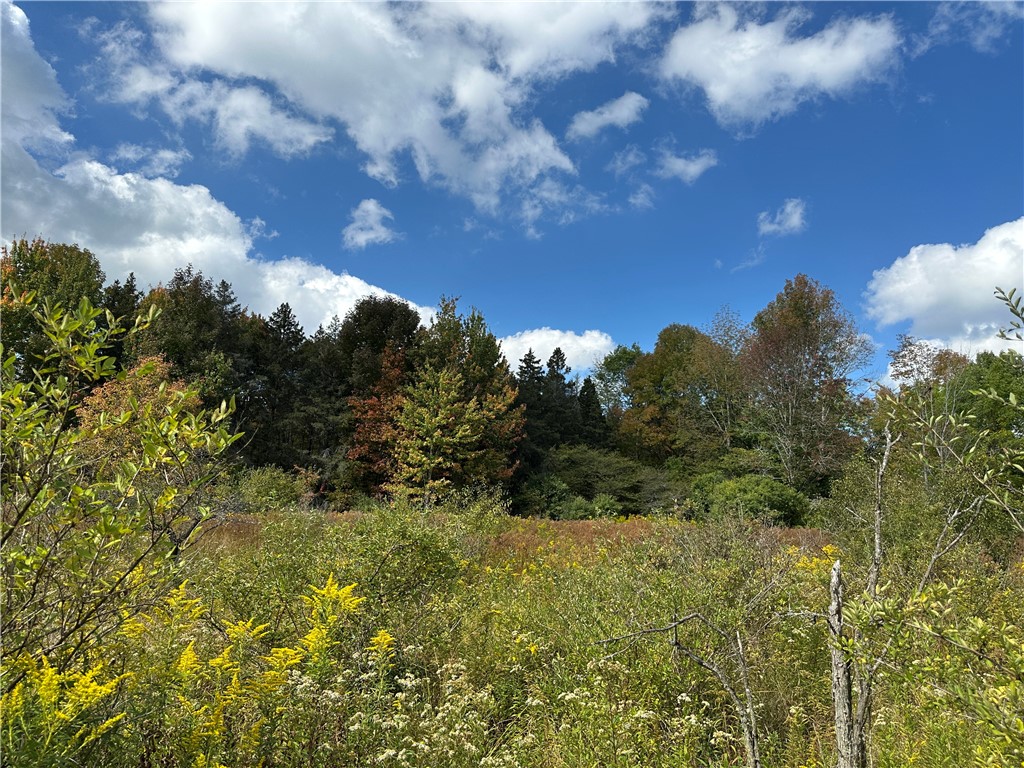 Lot 9 Mc Andrews Road Andover, NY 14806 - Photo 20 of 25