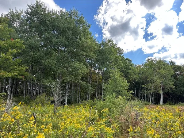 $44,900 | Lot 9 Mc Andrews Road, Andover, NY 14806