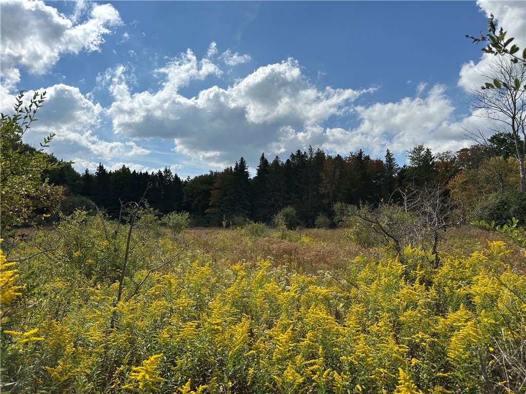 Lot 9 Mc Andrews Road Andover, NY 14806 - Photo 22 of 25