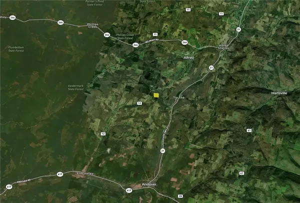 $44,900 | Lot 9 Mc Andrews Road, Andover, NY 14806