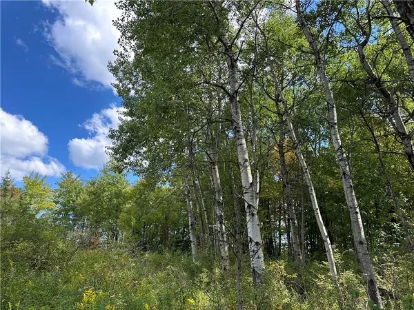 $44,900 | Lot 9 Mc Andrews Road, Andover, NY 14806