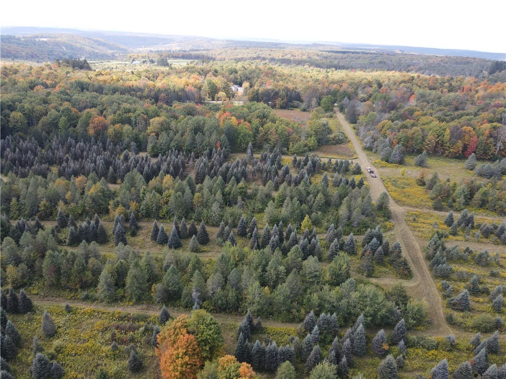 Lot 9 Mc Andrews Road Andover, NY 14806 - Photo 4 of 25