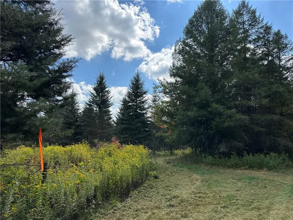 $44,900 | Lot 9 Mc Andrews Road, Andover, NY 14806