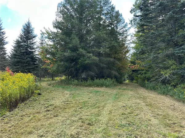 $44,900 | Lot 9 Mc Andrews Road, Andover, NY 14806