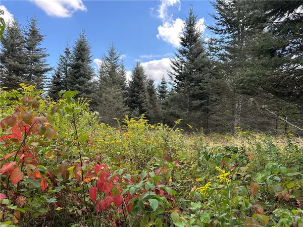 $44,900 | Lot 9 Mc Andrews Road, Andover, NY 14806