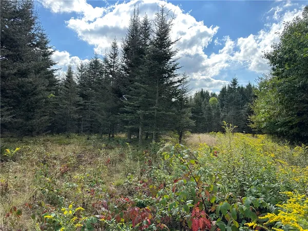 $44,900 | Lot 9 Mc Andrews Road, Andover, NY 14806