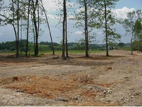 0 Lot 8 Price Road, Unit 8 Limestone, TN 37681 - Photo 6 of 9 Photo 6