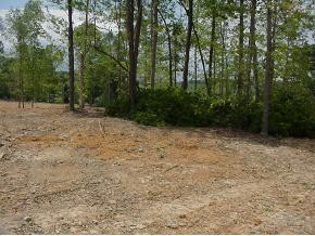 0 Lot 8 Price Road, Unit 8 Limestone, TN 37681 - Photo 8 of 9 Photo 8