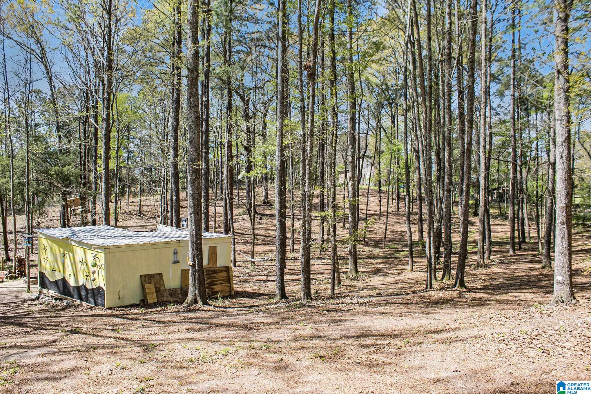 35 Peach Road Brierfield, AL 35035 - Photo 14 of 18