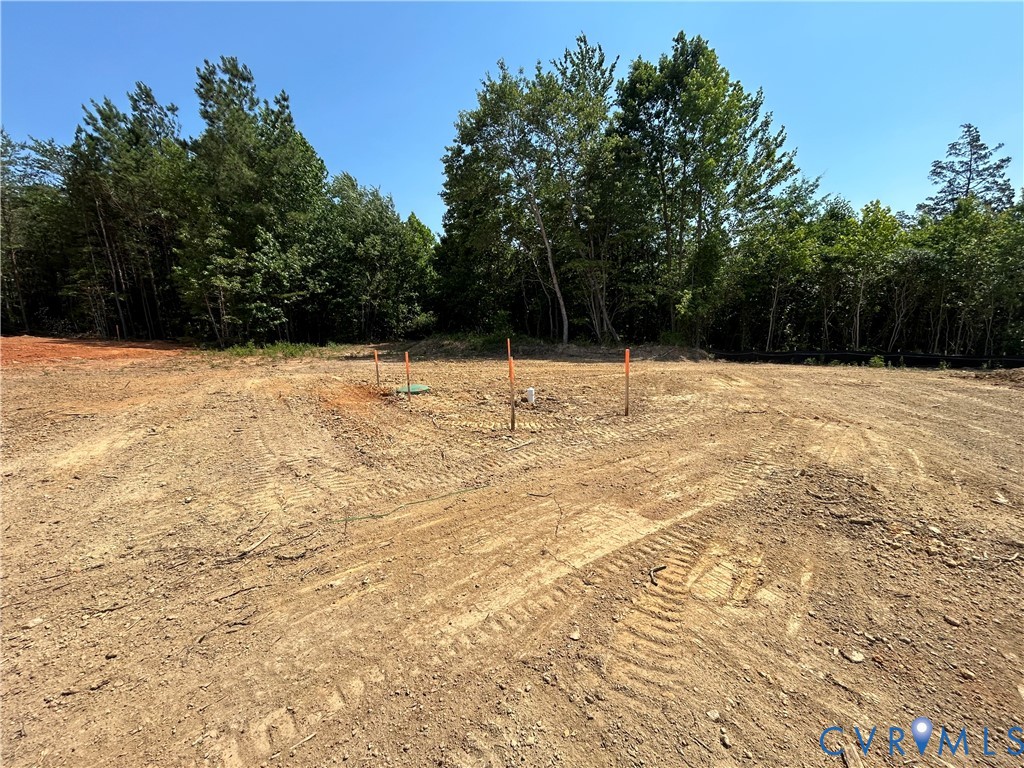 Tbd Deuprees Store Road Drakes Branch, VA 23937 - Photo 3 of 12