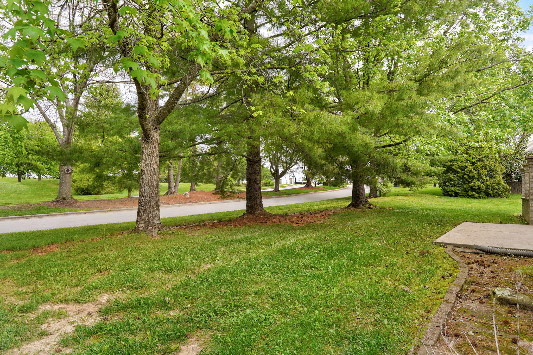 3901 East Villa Way Springfield, MO 65809 - Photo 41 of 60 3901 E Villa Way-46