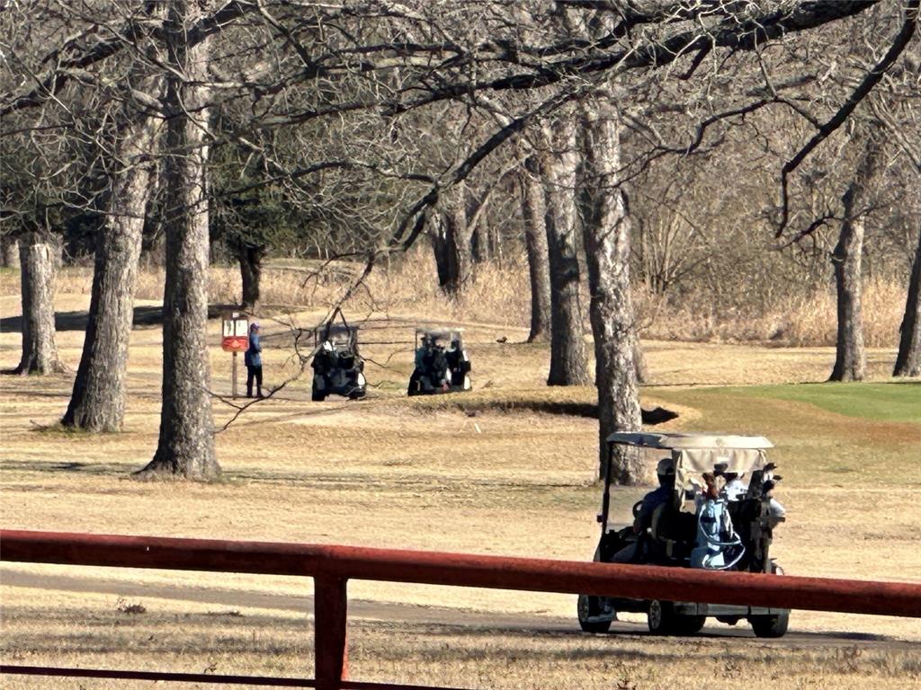 2020 Arbor Bend Road Bonham, TX 75418 - Photo 4 of 7 a view of a yard with street