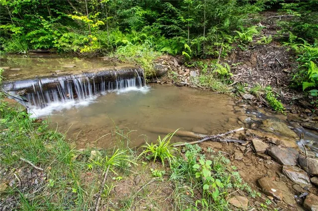 a backyard of a house with lots of green space and lake view