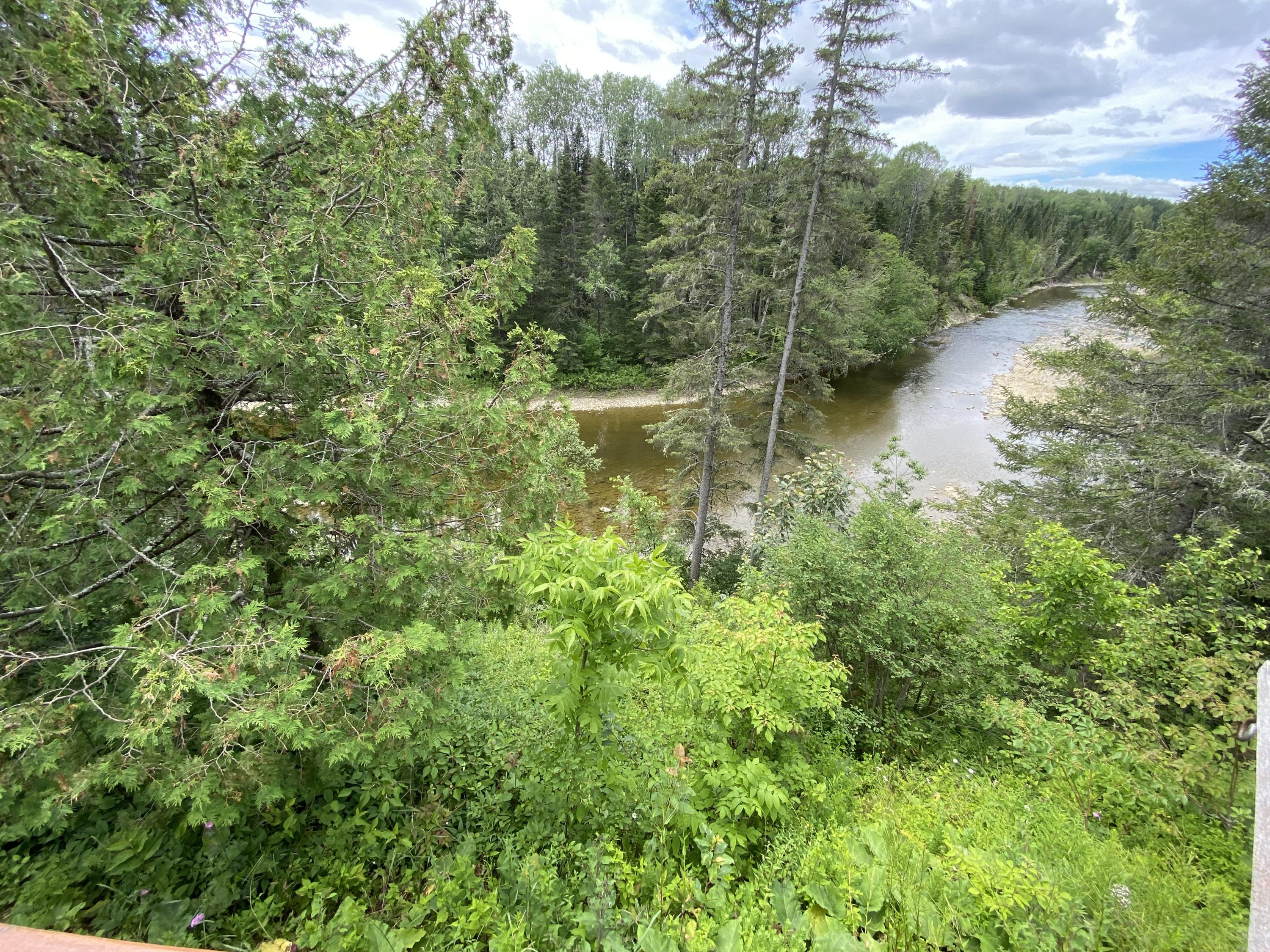 341 Grimes Mill Road Caribou, ME 04736 - Photo 31 of 43 341 Grimes Mill Rd Caribou July 2021 (36