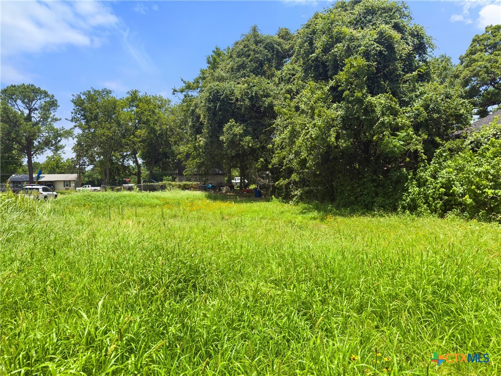 203 Trinity Street Hearne, TX 77859 - Photo 6 of 9