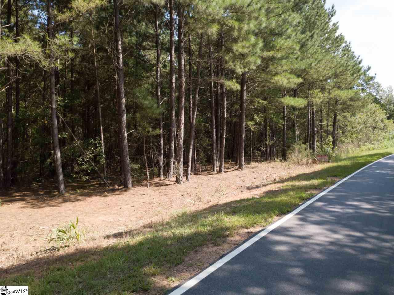 208 Latimer Mill Road, Unit TRACT A Honea Path, SC 29654 - Photo 19 of 19
