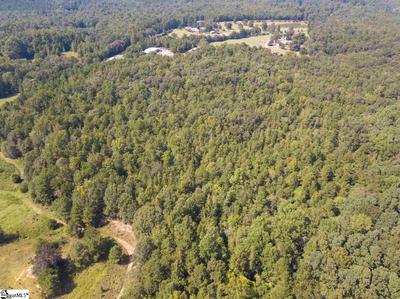 208 Latimer Mill Road, Unit TRACT A Honea Path, SC 29654 - Photo 7 of 19